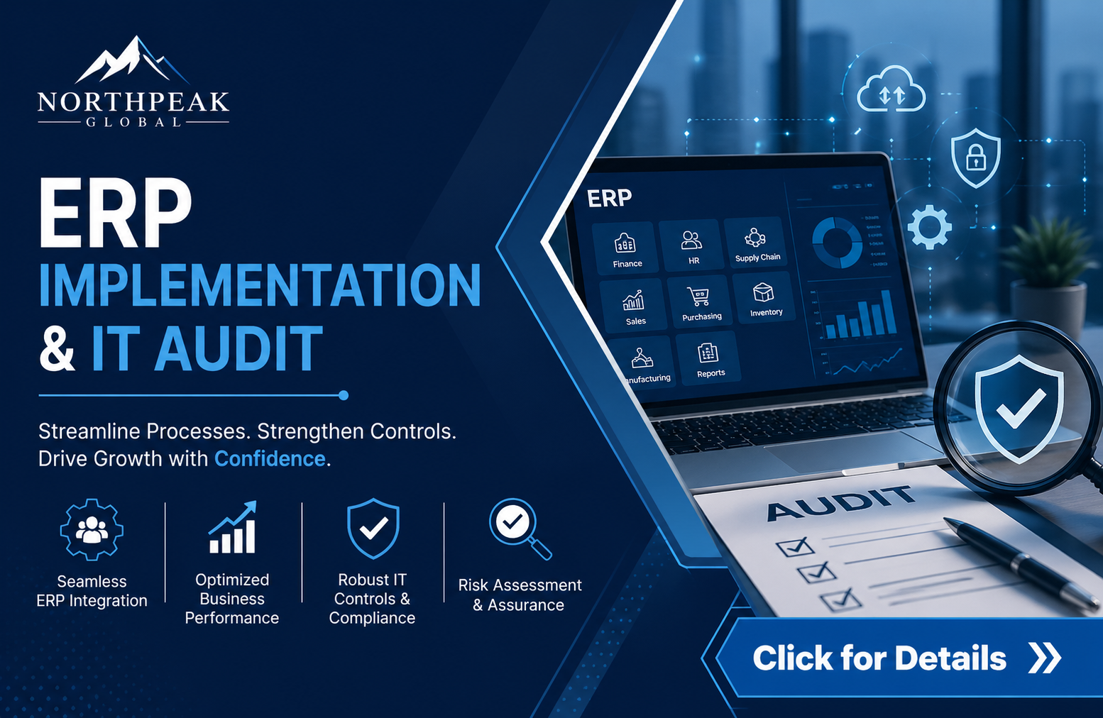 Home erp implementation & it audit